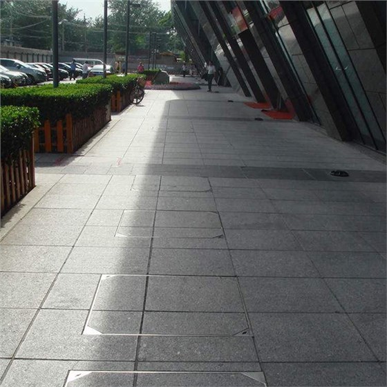 江蘇藝華園林建設有限公司1